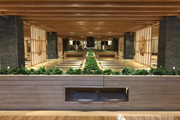 重庆龙少按摩：舒筋活络，养生首选秘籍